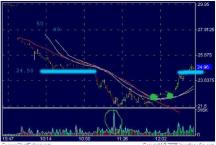 Джастин Купер - Прибыльная паника