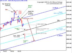 Мирсеа Долога - Систематизация прибыли