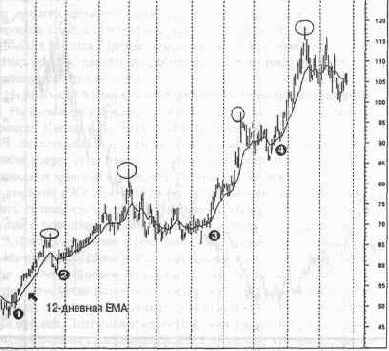 � ����� �������� ������ ���������, 