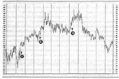 вам необходимо иметь базу данных