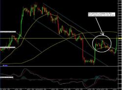 ���� ������ - �������� ���������