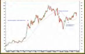 Владимир Келасев - Золотые правила трейдера