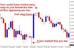 ���� ����� - ����������� ���������