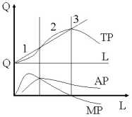 ���� 7. ����������� � ���������