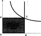 ������ - ���������