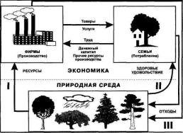 ������ - ���������