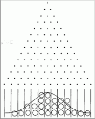 ���������� �������������