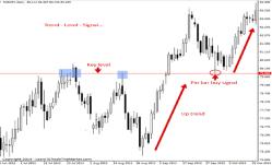 ���� ����� - ������� ����