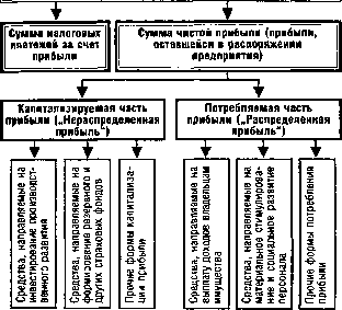 ����� 19. �������� ���������� �������������� ������� �����������