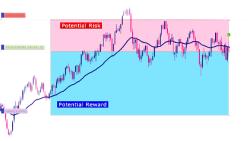 ������ ������  - ����� �������