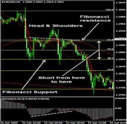 ������� ������ - ��������� �������