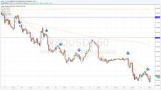 ��� ����� �����������