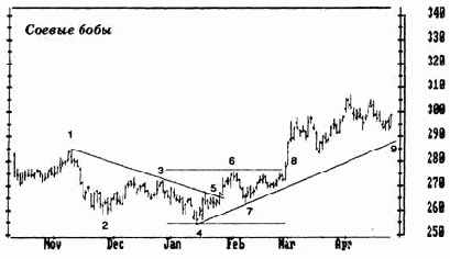 ���������� ����