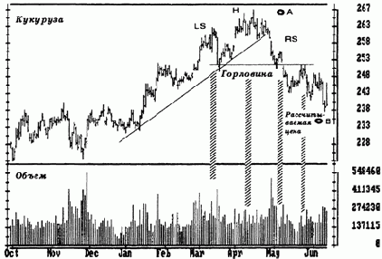 ������� � ���� 