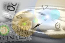 Кристина Калинина - Иллюзорный контроль