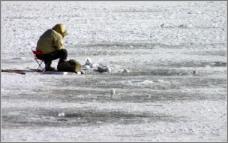 ���� ��������� - ��������...(������� ��������)