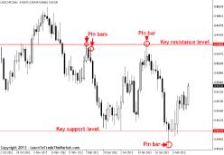 ���� ����� - ���������� ���������