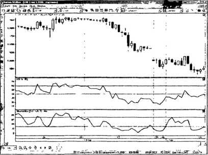 ������ ���� - ����� �������� ���������