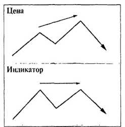 ������ ���� - ����� �������� ���������