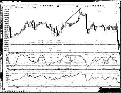 ������ ���� - ����� �������� ���������