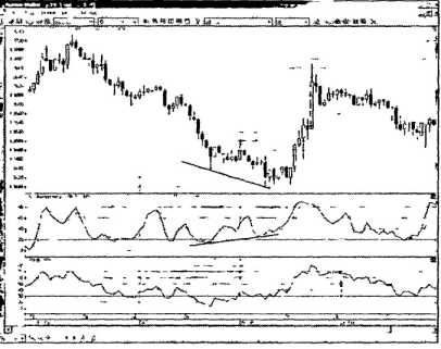 ������ ���� - ����� �������� ���������