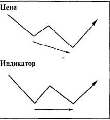 ������ ���� - ����� �������� ���������