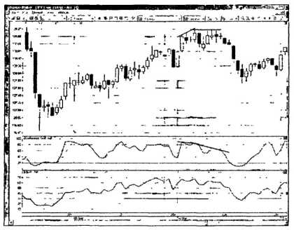 ������ ���� - ����� �������� ���������