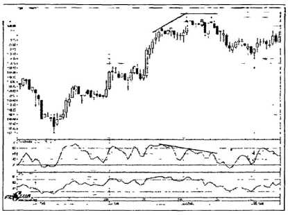 ������ ���� - ����� �������� ���������