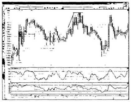 ������ ���� - ����� �������� ���������