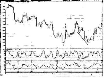 ������ ���� - ����� �������� ���������