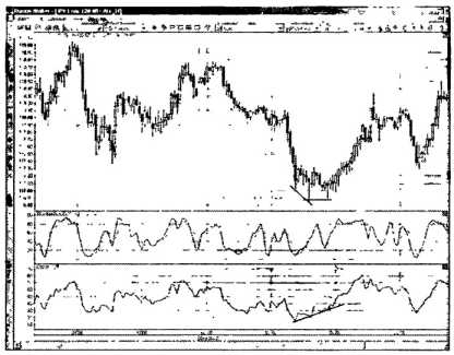 ������ ���� - ����� �������� ���������