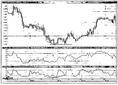 ������ ���� - ����� �������� ���������