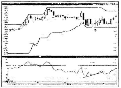 ������ ���� - ����� �������� ���������