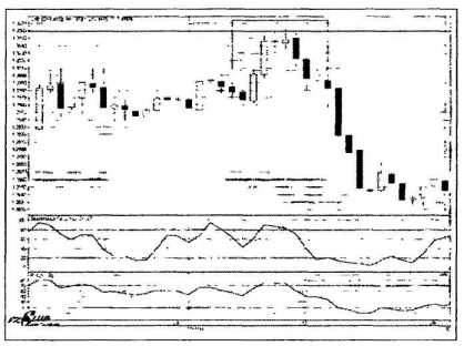 ������ ���� - ����� �������� ���������