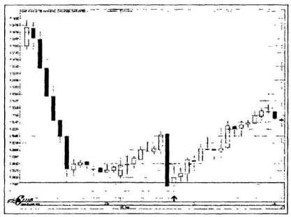 ������ ���� - ����� �������� ���������