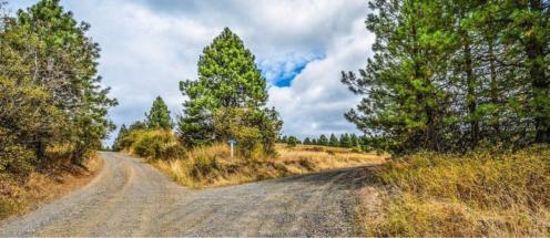 ������� ������ - ������� ��� ����������� - � ������� �������� ����������� ���������