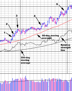 10 �������� ������ ��� ���������� ����� ���������