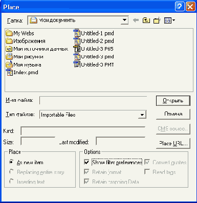 Окно Place при выбранном инструменте Pointer