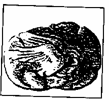 �������� ���������