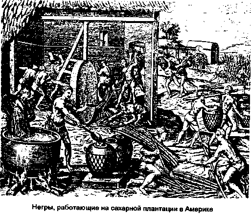 � ���� ������� ���������������� �������.