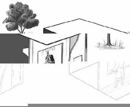 Фотография и кино