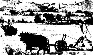 ������ ������������