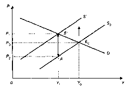 ����������� - ��������������