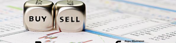 ���� ������� - ���� ���� �������