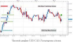 ���������������� ���������� ������ - ������ �������