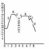 БЖД теоретические понятия