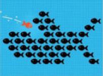 ������������ ������ - ������� �������