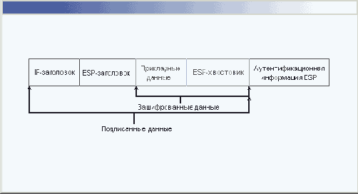 ��������� ������������