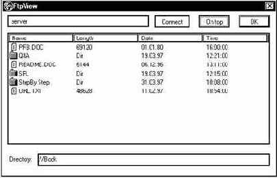 ������ ���������� FtpView