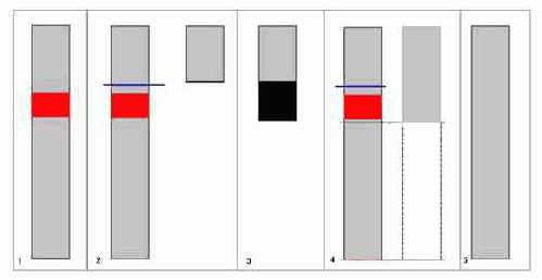 A: ��� ������������ ����, ����������� �������� ReGet?